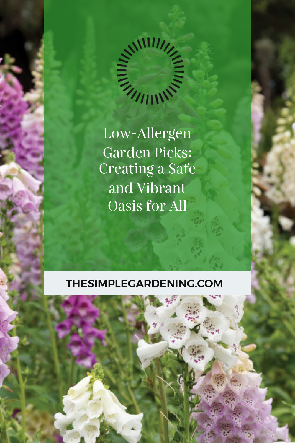 Low-Allergen Garden Picks: Creating a Safe and Vibrant Oasis for All